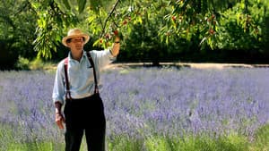 Los jardines franceses de Monty Don — foto 2