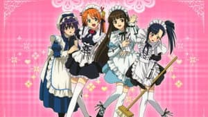 魔法先生ネギま! — foto 2