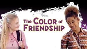 El Color de la Amistad — foto 3