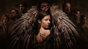 Sphinx — foto 3