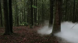Printemps — foto 2