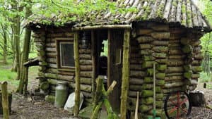 Amazing Spaces: Shed of the Year — foto 1