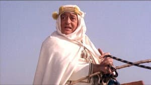 Totò d'Arabia — foto 2