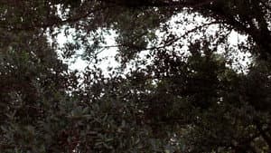 Colors (A Visual Poem) — foto 1