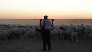 El pastor — foto 2