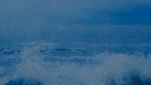 Anatomy of a Wave — foto 2