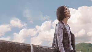 流水落花 — foto 1