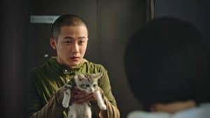 宠爱 — foto 2