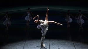 Le lac des cygnes au théâtre national de Chaillot — foto 2