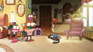 Aventuras gatunas