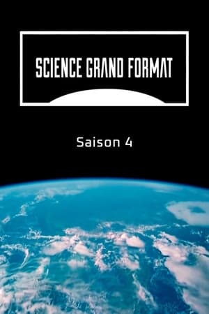 Temporada 4