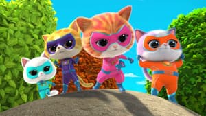 Supergatitos — foto 9