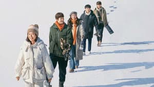 在你的冬夜里闪耀 — foto 3