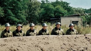 NVA — foto 3