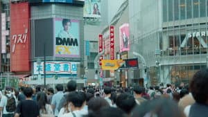 つゆのあとさき — foto 6