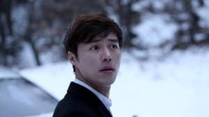로드킬 — foto 2