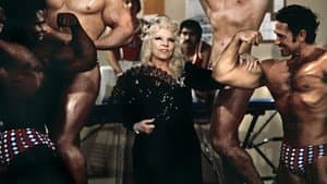 Sextette — foto 1