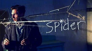 Spider — foto 11