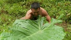 Episodio 5
