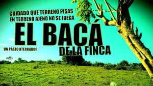 El bacá de la finca — foto 1
