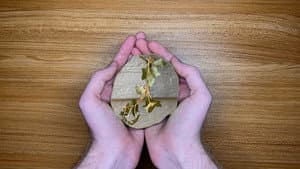 The World in Our Hands — foto 10