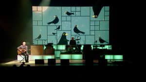 The Analogues in Liverpool — foto 8