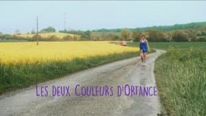Les deux couleurs d'Ortance — foto 1