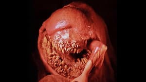 The Deadly Spawn — foto 10