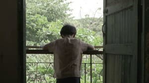 ပြာပြာညိုရောင် မှိုင်းတလဲ့လဲ့ — foto 1