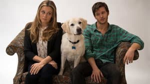 Who Gets the Dog? — foto 3