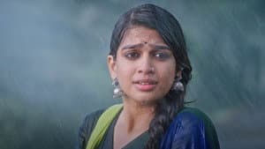 ఎనిమిది వసంతాలు — foto 10