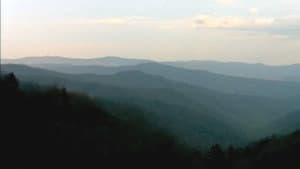 Bigfoot Witness — foto 1