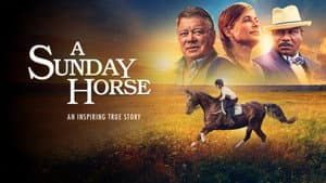 A Sunday Horse — foto 3