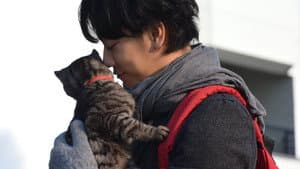 世界から猫が消えたなら — foto 7