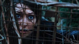 The Magpie — foto 4