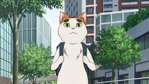 Episodio 11