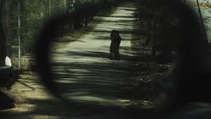 Sight of the Fact — foto 1