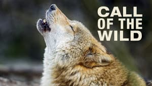 The Call of the Wild — foto 3