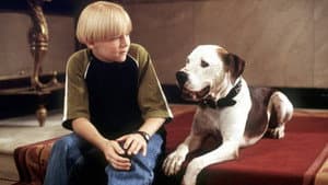 The Pooch and the Pauper — foto 1