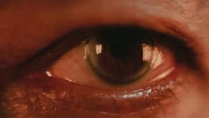 O Cinema Que Não Se Vê — foto 6