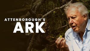 Attenborough's Ark — foto 1