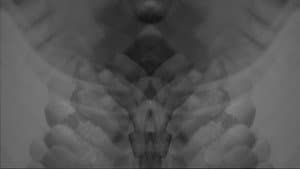 silencio — foto 5