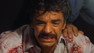 Peter Pun
