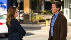 Episodio 8