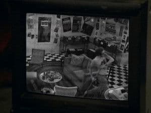Episodio 19