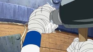 ¡Capturen a Robin! La determinación de los Sombrero de Paja.
