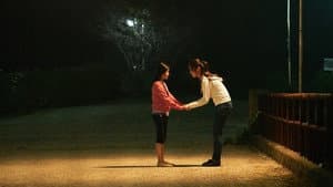 재꽃 — foto 10