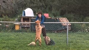 Wendy and Lucy — foto 4