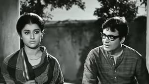 এখানে পিঞ্জর — foto 2