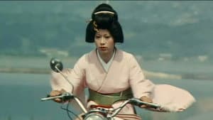 温泉スッポン芸者 — foto 1